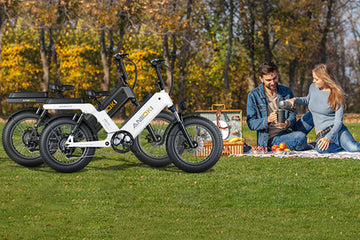 2023 Large-Capacity Long-Distance Electric Bicycles